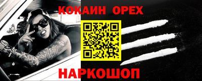 шишки Будённовск