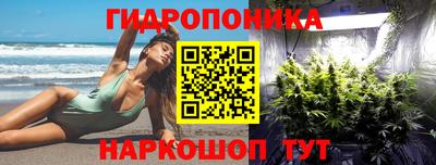 шишки Будённовск
