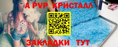 шишки Будённовск