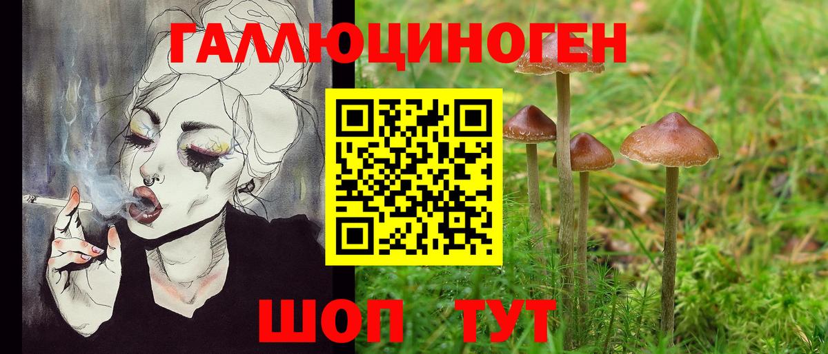 Галлюциногенные грибы мицелий  Вход с VPN  Сочи  Псилоцибиновые грибы GOLDEN TEACHER 