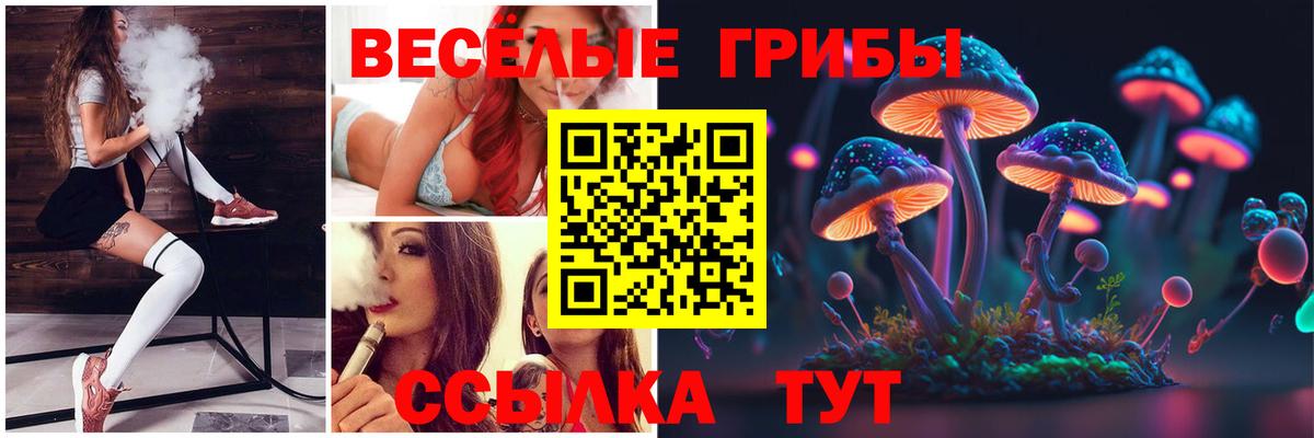 Галлюциногенные грибы Cubensis Сочи